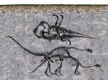 Dino Mating Fossil
unknown artist
Keywords: dinosaur;male;female;feral;M/F;skeleton;from_behind;missionary;humor