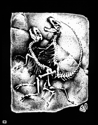 Fossil Mating
unknown artist
Keywords: dinosaur;theropod;male;female;feral;skeleton;M/F;from_behind;suggestive