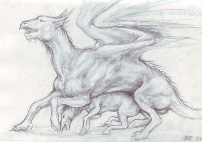 M/F - Dragon Mating With A Horse - Herpy Image Archive