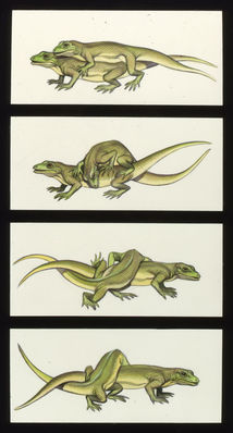 Lizard Sex
art by Ron Embleton
Keywords: squamate;lizard;male;female;feral;M/F;from_behind;ron_embleton