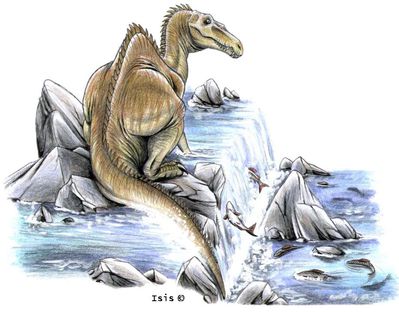 Baryonyx Fishing
art by isismasshiro
Keywords: dinosaur;theropod;baryonyx;feral;solo;non-adult;isismasshiro