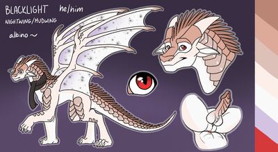 Blacklight Reference (Wings_of_Fire)
art by MaxForreal
Keywords: wings_of_fire;nightwing;mudwing;hybrid;dragon;male;feral;solo;penis;closeup;reference;MaxForreal
