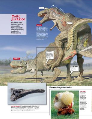 Tiranosaurio Sex 3
article by Vicente Fernandez
Keywords: dinosaur;theropod;tyrannosaurus_rex;trex;male;female;feral;M/F;cloaca;from_behind;internal;article;quo;magazine;vicente_fernandez
