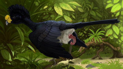 Great_Curassow
art by technesaurus
Keywords: avian;bird;great_curassow;male;feral;solo;penis;technesaurus