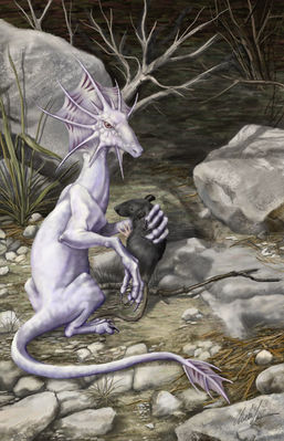 The Littlest Hunter
art by Ursula-Vernon
Keywords: dragon;feral;furry;rodent;solo;non-adult;Ursula-Vernon