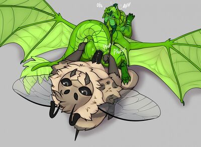 Pollination Procedure (Wings_of_Fire)
art by aggr.mor
Keywords: wings_of_fire;rainwing;leafwing;hybrid;insect;bee;dragon;male;feral;anthro;M/M;bondage;penis;from_behind;anal;aggr.mor
