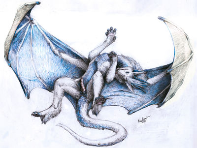 Drake
art by ainc
Keywords: dragon;male;feral;solo;penis;ainc