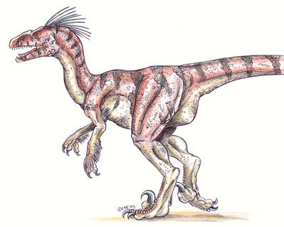 Alloraptor
art by eerin
Keywords: dinosaur;theropod;allosaurus;raptor;hybrid;feral;solo;non-adult;eerin