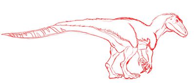 Megaraptor
art by altairxxx
Keywords: dinosaur;theropod;raptor;megaraptor;feral;solo;cloaca;altairxxx