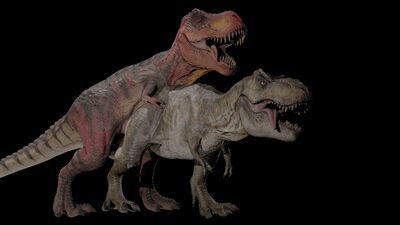 Rex Sex
unknown creator
Keywords: dinosaur;theropod;tyrannosaurus_rex;male;female;feral;M/F;from_behind;suggestive;cgi
