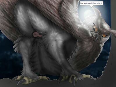 Ever Seen One Of These?
art by arcticdunx
Keywords: avian;bird;owl;female;feral;solo;cloaca;presenting;arcticdunx