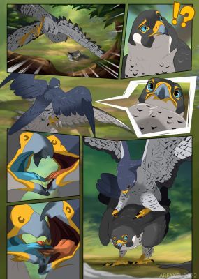Falcons Mating 1
art by arf-fra
Keywords: avian;bird;falcon;male;female;feral;M/F;from_behind;suggestive;arf-fra