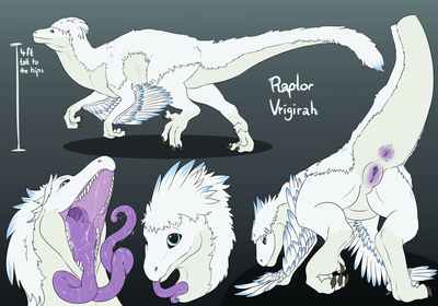 Vrigirah Reference
art by avezola
Keywords: dinosaur;theropod;raptor;female;feral;solo;vagina;presenting;reference;avezola