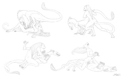 Feline and Raptor
art by bagheera
Keywords: dinosaur;theropod;raptor;deinonychus;furry;feline;male;female;anthro;breasts;M/F;from_behind;missionary;cowgirl;69;oral;penis;spooge;bagheera