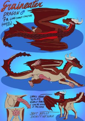 Graineater Reference (Wings_of_Fire)
art by birdofgrain
Keywords: wings_of_fire;skywing;dragon;male;feral;solo;penis;closeup;reference;birdofgrain