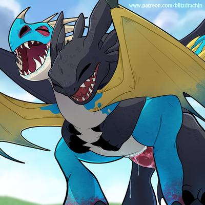 Toothless and Stormfly Mating. 