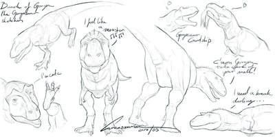 Gorgosaurus Sketches
art by carnosaurian
Keywords: dinosaur;theropod;gorgosaurus;male;female;feral;solo;presenting;cloaca;suggestive;carnosaurian