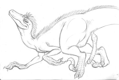 Raptor Ian
art by chewtoy
Keywords: jurassic_park;dinosaur;theropod;raptor;deinonychus;male;feral;ian;transformation;solo;penis;chewtoy