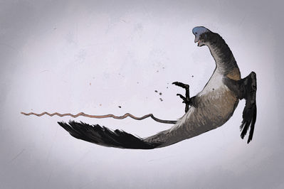 Oviraptor Duck Penis
art by j_conway
Keywords: dinosaur;theropod;oviraptor;male;feral;solo;penis;j_conway