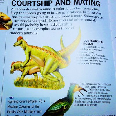 Corythosaurus Mating
unknown creator
Keywords: dinosaur;hadrosaur;corythosaurus;male;female;feral;M/F;from_behind;suggestive