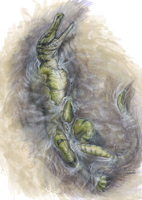 Croc Cock
art by syntarsis
Keywords: crocodilian;crocodile;male;anthro;solo;penis;syntarsis