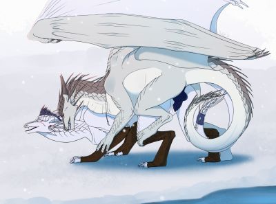 Icewings Mating (Wings_of_Fire)
art by Defell
Keywords: wings_of_fire;icewing;dragon;dragoness;male;female;feral;M/F;penis;from_behind;vaginal_penetration;Defell