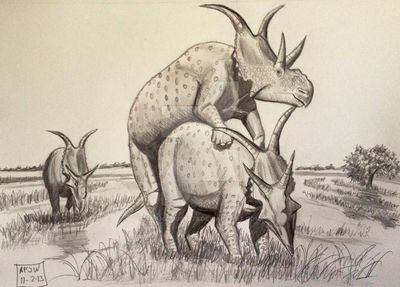 Diabloceratops Copulation
art by franz_josef73
Keywords: dinosaur;ceratopsid;diabloceratops;male;female;feral;M/F;from_behind;franz_josef73