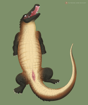Gator Gal
art by digitoxici
Keywords: crocodilian;alligator;female;feral;anthro;solo;vagina;spread;digitoxici