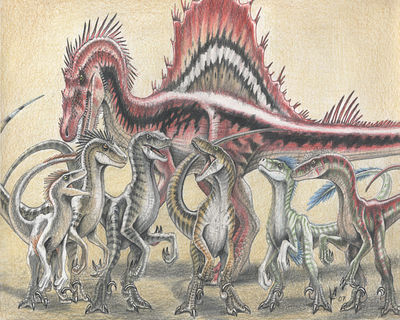 Theropod Desktop
unknown artist
Keywords: dinosaur;theropod;raptor;deinonychus;velociraptor;spinosaurus;feral;non-adult