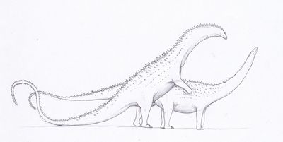 Diplodocus Copulation
art by dontknowwhattodraw
Keywords: dinosaur;sauropod;diplodocus;male;female;feral;penis;M/F;from_behind;cloacal_penetration;dontknowwhattodraw