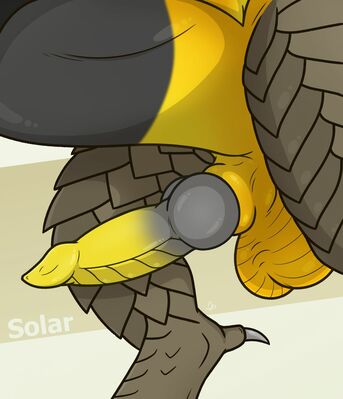 Solar Balls (Wings_of_Fire)
art by dirty.paws
Keywords: wings_of_fire;sandwing;nightwing;hybrid;dragon;male;feral;solo;penis;closeup;dirty.paws
