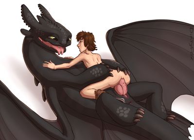 Hiccup Riding Toothless
art by dirtyfox911911
Keywords: beast;how_to_train_your_dragon;httyd;night_fury;toothless;hiccup;dragon;human;man;male;anthro;M/M;penis;cowgirl;anal;dirtyfox911911