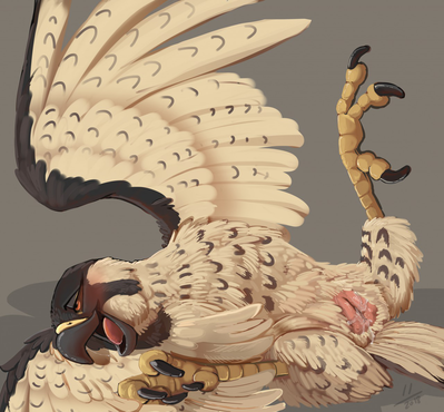 Gilda Falcon
art by disturbed-mind
Keywords: bird;avian;falcon;female;feral;solo;cloaca;spooge;disturbed-mind