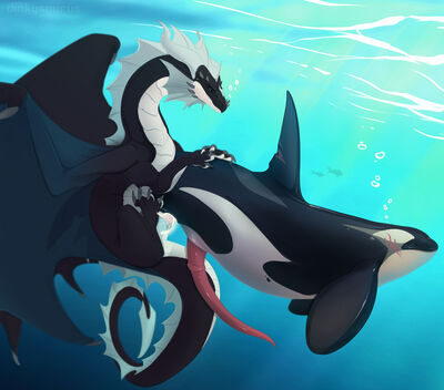 Dragon and Orca
art by dnk-anais
Keywords: dragon;furry;cetacean;orca;male;feral;M/M;penis;from_behind;anal;spooge;dnk-anais