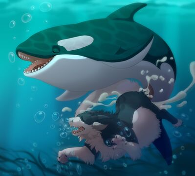 Dragon and Orca
art by dpakollia
Keywords: dragon;furry;cetacean;orca;male;feral;M/M;penis;from_behind;anal;spooge;dpakollia