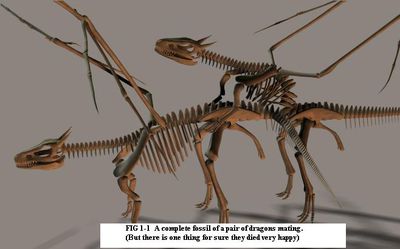 Dragon Mating Fossil
unknown creator
Keywords: dragon;dragoness;male;female;feral;M/F;from_behind;skeleton;humor