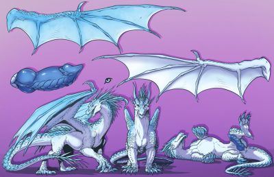 Sleet Reference (Wings_of_Fire)
art by emptyinside
Keywords: wings_of_fire;icewing;dragon;male;feral;solo;penis;closeup;reference;emptyinside