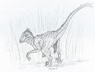 Male Velociraptor
art by eyegis-garr
Keywords: dinosaur;theropod;raptor;velociraptor;male;feral;solo;penis;eyegis-garr