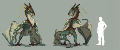 Female Wyvern Concept
art by falcrus
Keywords: dragoness;wyvern;female;feral;solo;cloaca;reference;falcrus