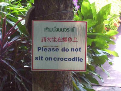 Funny Croc Sign 3
unknown creator
Keywords: crocodilian;crocodile;non-adult;humor