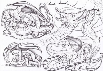 Dragon Mating Sketches
art by furrypur
Keywords: dragon;dragoness;feral;furry;canine;anthro;male;female;M/F;M/M;penis;hemipenis;from_behind;cowgirl;missionary;anal;vaginal_penetration;closeup;spooge;furrypur