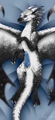 Icarus the Icewing (Wings_of_Fire)
art by furydraws
Keywords: wings_of_fire;icewing;dragon;male;feral;solo;penis;furydraws
