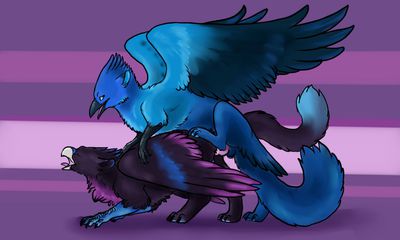 Gryphons Making Love
art by gryph000
Keywords: gryphon;male;female;feral;M/F;penis;from_behind;gryph000