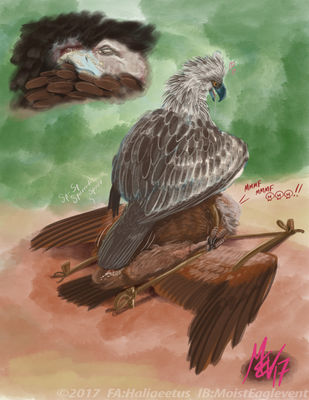 Eagle on Vulture
art by haliaeetus
Keywords: bird;avian;eagle;vulture;male;feral;M/M;cloaca;oral;bondage;spooge;closeup;haliaeetus