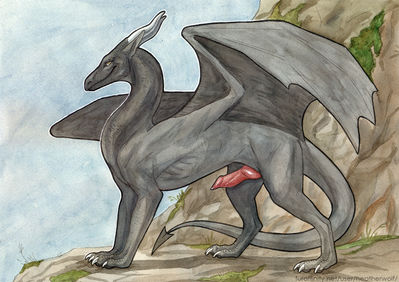 Black Dragon
art by heatherwolf
Keywords: dragon;male;feral;solo;penis;heatherwolf