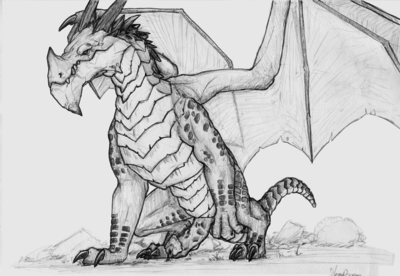 Storm Drake
art by herpydragon
Keywords: videogame;world_of_warcraft;dragon;storm_drake;male;feral;solo;penis;herpydragon