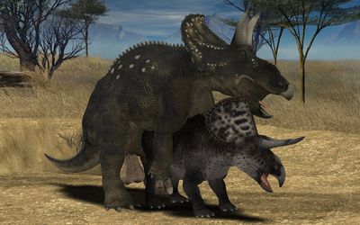 Triceratops Mating
art by kaa
Keywords: dinosaur;ceratopsid;triceratops;male;feral;anthro;M/M;penis;from_behind;anal;cgi;kaa