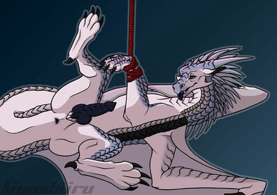 Icewing Bound (Wings_of_Fire)
art by kiyoshiiru
Keywords: wings_of_fire;icewing;dragon;male;feral;solo;penis;bondage;kiyoshiiru