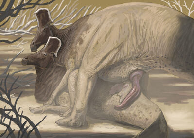 Olorotitans
art by knuppitalism
Keywords: dinosaur;hadrosaur;olorotitan;male;female;feral;M/F;penis;from_behind;suggestive;knuppitalism