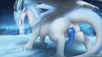 Light Snowfall (Wings_of_Fire)
art by l.gecko
Keywords: wings_of_fire;icewing;dragon;male;feral;solo;penis;l.gecko